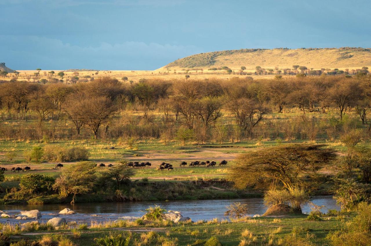 Serengeti River Camp Βίλα Robanda Εξωτερικό φωτογραφία